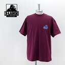 XLARGE GNXg[W Y Xebh OG TVcm101232011025ny2023SSz