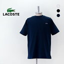 LACOSTE RXe Y AEgCNbNN[lbNTVcmTH5582-99ny2024SSz
