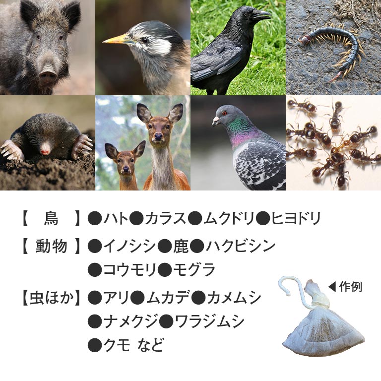 ヒトデのおかげ 2kg 25～30平方メートル目安 忌避剤 忌避 ガーデニング 害獣 害虫 対策 日本製 鳥 獣 虫 撒く 吊るす 追い払う ハト ムクドリ カラス イノシシ 鹿 モグラ アリ 北海道産 乾燥ヒトデ 肥料 土壌改良 庭や畑の周り ゴミ置き場 天井裏 縁の下 倉庫 3