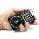 ラジオが録音できる ポケットラジオ 1台 - ポータブル ラジオ 録音 USB SD ラジオレコーダ ボイスレコーダ 手のひら コンパクト レトロ おしゃれ 防災 充電式 DSP L-065AM