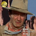 西部劇 パーフェクトコレクション DVD 第2弾 60枚組 映画 洋画 幻の西部劇60作品 英語 日本語字幕 ボックス＆コンパクトケース入り 株式会社コスミック出版 アパッチ族の最後 復讐の二連銃 幌馬車隊 復讐の荒野 虐殺の河 モヒカン族の最後