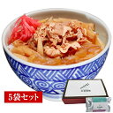 災食健備「牛丼の素」5袋【通常】- レトルト 長期保存 保存食 災害 防災 非常時 停電 非常食 マルイチ アウトドア 登山 キャンプ 常温保存 保管 牛丼