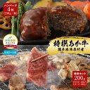 【直送】 日本直販オリジナル 熊本あか牛 ハンバーグ・焼肉2種セット 牛肉 詰め合わせ お取り寄せグルメ 冷凍ギフト 食べ比べセット ロース カルビ 焼肉用 おうち焼肉 国産牛 バーベキュー お中元 父の日 ごちそう グルメセット
