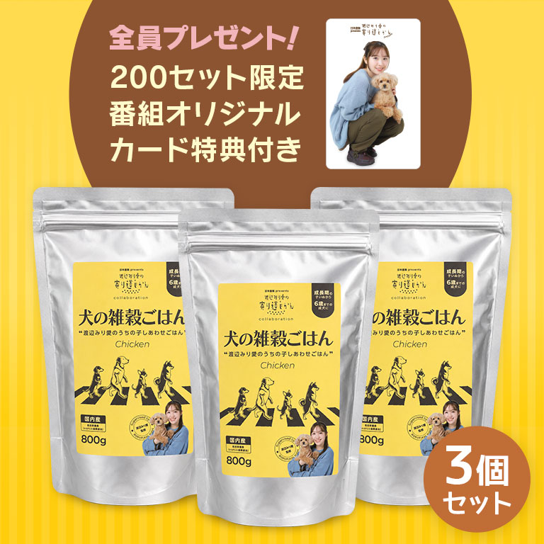 商品説明日本直販presentsラジオ番組「渡辺みり愛の寄り道じかん」から生まれた、オリジナルパッケージの“犬の雑穀ごはん”九州産ありたどり、国産雑穀米、野菜を使用した自然素材のごはんに、ヨーグルト1000杯分※ヨーグルト一杯を100ml(乳酸菌10億個)とした場合に1000杯分となります。＝1兆個の乳酸菌を配合。ノンオイルコーティング、小麦グルテンフリー、香料・着色料・合成酸化防止剤無添加。毎日の食事から腸内環境と健康を整える、愛犬のための機能性ごはんです。【 商品詳細 】●内容量（約）／800g●原材料／鶏肉、大麦、玄米、鰹節、大麦ぬか、ビール酵母、米油、卵黄粉末、黒米、赤米、イヌリン（水溶性食物繊維）、コラーゲンペプチド、発酵調味液、玄米麹、ハト麦、あわ、きび、ひえ、フラクトオリゴ糖、大根葉、昆布、ごぼう、にんじん、乳酸菌、DHA含有精製魚油粉末、キャベツ、ブロッコリー、かぼちゃ、紫いも、さつまいも、あかもく、わかめ、セレン酵母、白菜、高菜、パセリ、青じそ、タウリン、L-トレオニン、ミネラル類（リン酸三カルシウム、塩化ナトリウム、塩化カリウム、グルコン酸亜鉛、ピロリン酸第二鉄、グルコン酸銅）、ビタミン類（ビタミンA、ビタミンD、ビタミンE、ビタミンB₂、ビタミンB₁₂、パントテン酸カルシウム）、酸化防止剤（ローズマリー抽出物、ミックストコフェロール）●賞味期限／製造より545日●保存方法／常温（直射日光・高温多湿を避けて保存）●原産国／日本※お客様都合による返品は承っておりません。予めご了承ください。※抽選期間は年内を目途に実施させていただきます。別売品・関連商品はこちらから犬の雑穀ごはん 〜渡辺みり愛のうちの子しあわせごはん〜 1個セットはこちら＞犬の雑穀ごはん 〜渡辺みり愛のうちの子しあわせごはん〜 3個セット （購入特典付）はこちら＞