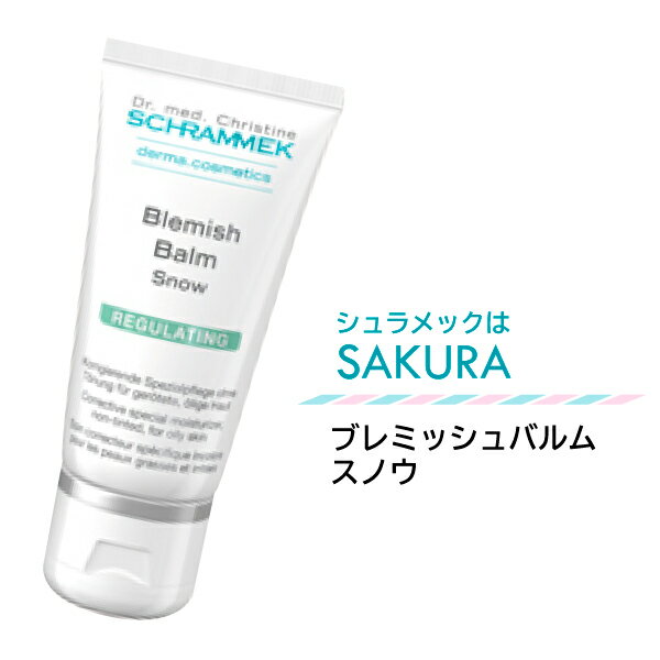 元祖BBクリームブレミッシュバルム（スノウ40ml）バームとは軟膏の意味です。保湿クリームなので夜も塗ったまま寝れます。カラーは男性にもおすすめのスノウ。★100円引きまたはサンプルプレゼント★【送料無料土日祝も発送】シュラメック化粧品