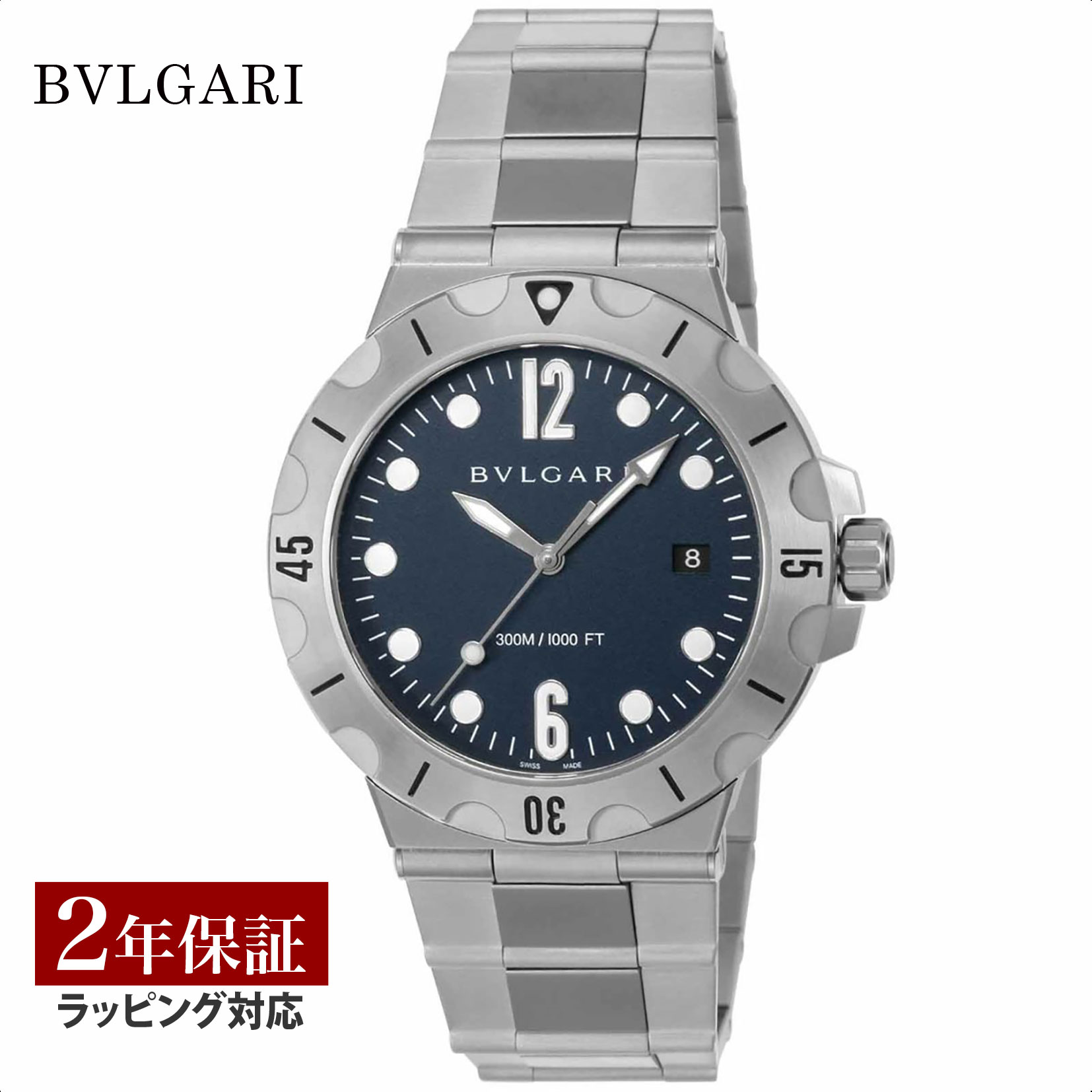 bvs-dp41c3sssd-1.jpg