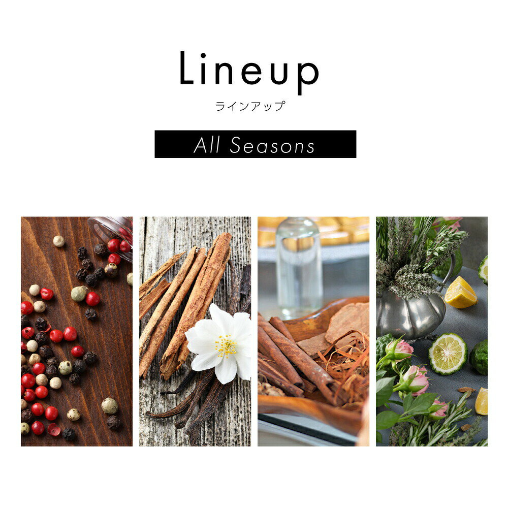 �Х��Х֥��쥯����� BAOBAB COLLECTION ALL SEASONS �ǥ��ե塼���� 500mL �� �ޥ��������� �Х˥� �ޥ������ԥ�å� ����󥲥ƥ� �ץ쥤�� �ۥ磻�ȥ饤�� ������ �������� ���ե� �ץ쥼��� �ۥ磻�ȥǡ� ��