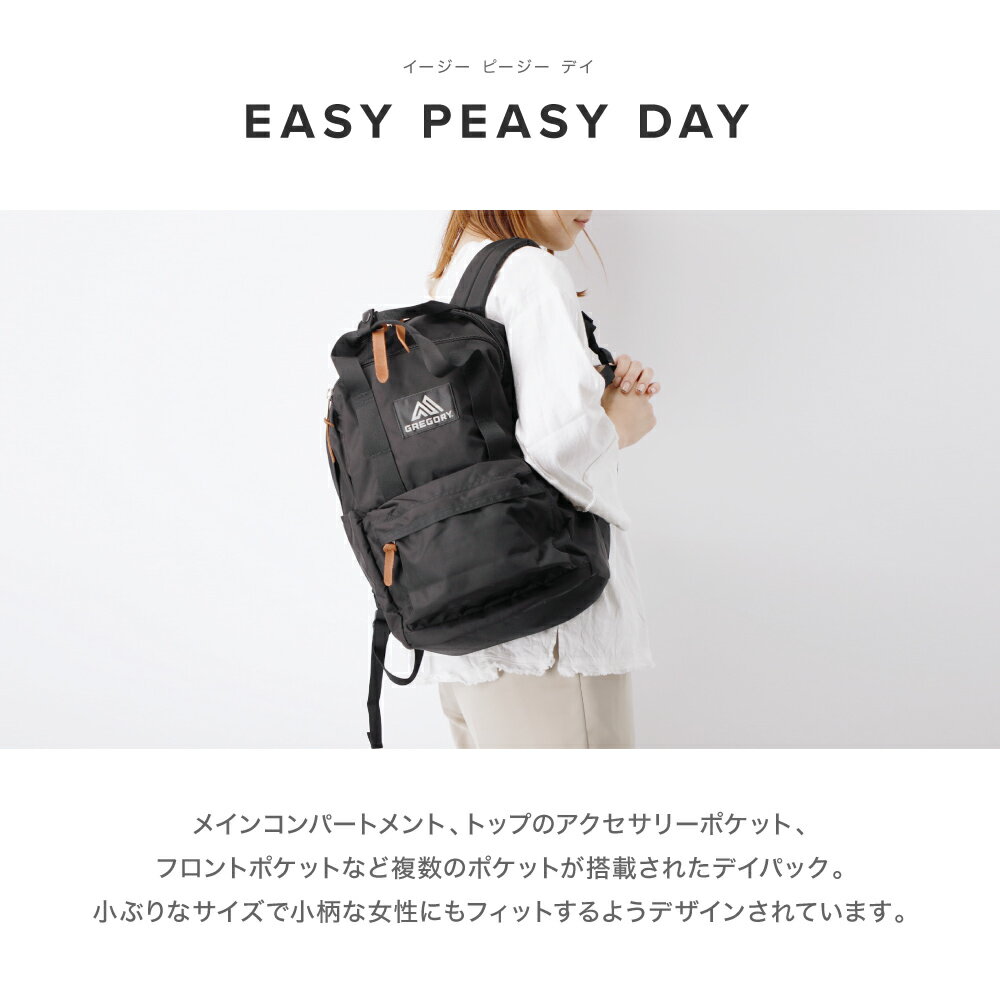 グレゴリー GREGORY リュック EASY PEASY DAY メンズ レディース バッグ イージーピージーデイ EASY PEASY DAY デイパック バックパック クラシックシリーズ 18L 黒 通勤 通学 旅行 アウトドア キャンプ カジュアル お出かけ ブラック 1038681041