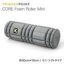 トリガーポイント TRIGGER POINT コアフォームローラー ミニ グレー ストレッチ マッサージ エクササイズ マッサージポール ミニサイズ フォームローラー トレーニング 筋膜リリース 筋膜はがし 筋膜ローラー スポーツ ギフト