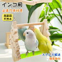 【ユニークな木の造形】鳥かご インコ用 止まり木付き両面鏡 クリアーな鏡面で羽色確認&自己認知が楽しめるオカメインコ おもちゃ 小鳥 おもちゃ 天然木を柔らかい...
