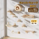 キャットウォーク 壁掛け キャットタワー 有孔ボード 壁掛け式猫用ステップ 壁面 棚 DIY 壁 天然木 壁掛け猫クライマーセット 猫用 カスタム猫壁 猫家具 ...