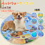 ペット用ウォーターマット 猫用ウォーターマット ペット 犬用ウォーターマット 猫用 プレイマット 猫の..