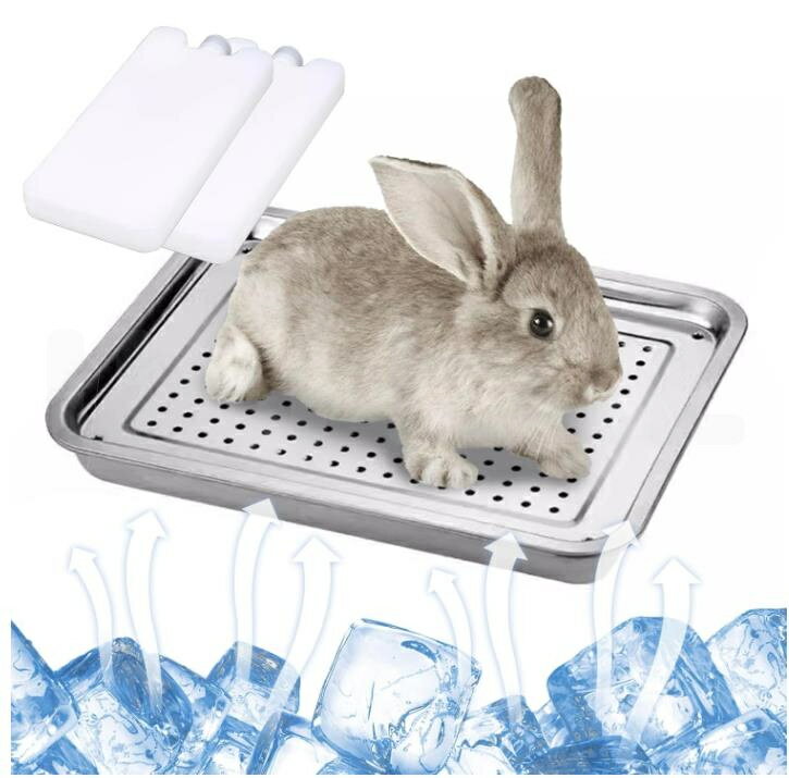 夏のうさぎ涼感ベッド 小動物 氷皿 小動物の涼感グッズ ペット夏用睡眠ベッド 冷却マット 小動物に適用 熱中症対策 暑さ対策 ハムスター モルモット、ミンク、チンチラ 涼感ベッド 物理冷却 冷却するペット用ベッド うさぎ ケージ 暑さ対策 ひんやり マット ペット用品