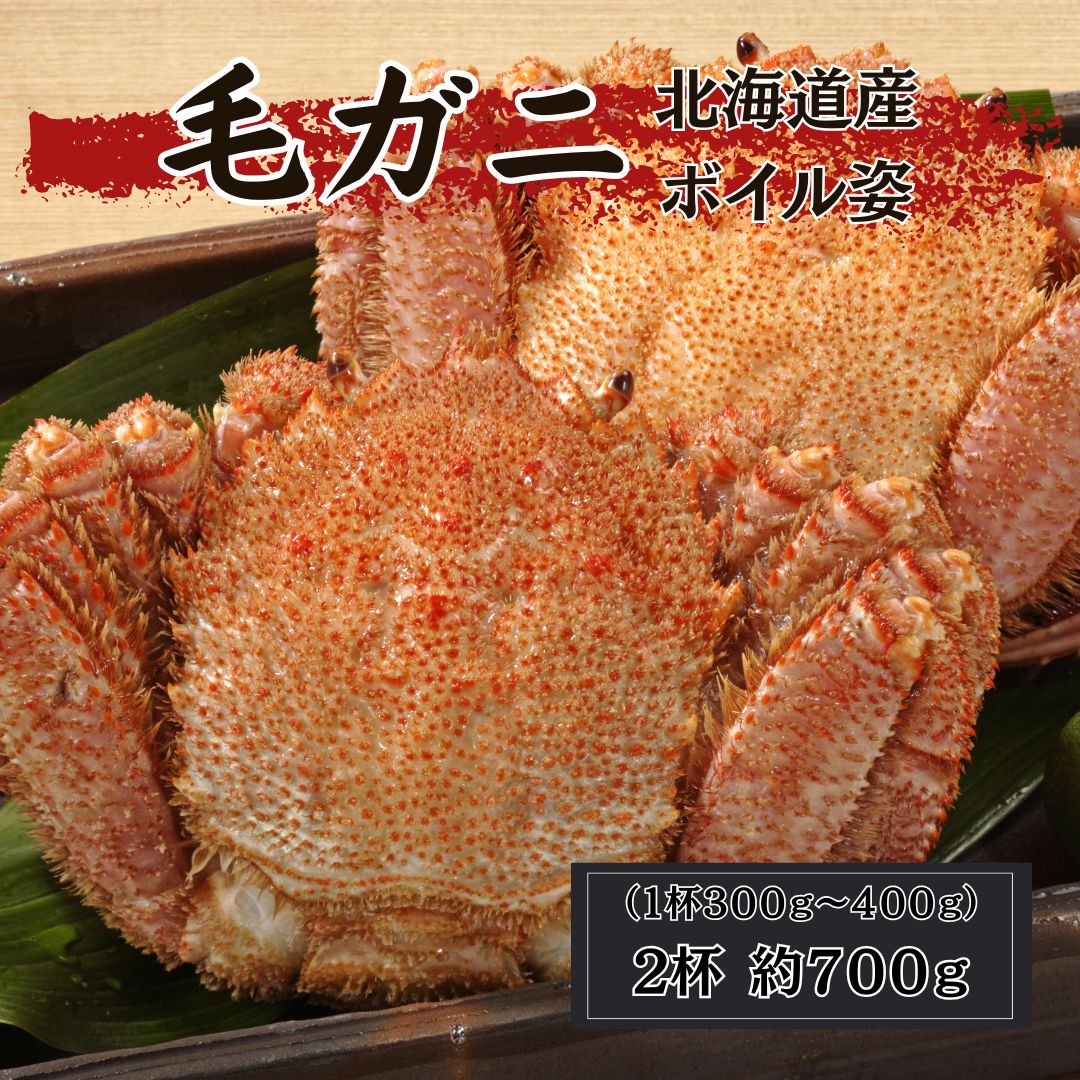 北海道根室産 毛ガニ ボイル姿 2杯 約700g（1杯約300g～400g） 中サイズ 毛蟹 毛がに かに 蟹