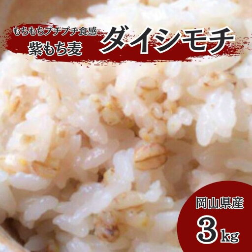 送料無料 岡山県産 ダイシモチ 【3kg 1kg×3パック】 紫もち麦 令和6年産 白米 玄米 のかわりに 送料無料 岡山県産 ダイシモチ 【3kg 1kg×3パック】 紫もち麦 令和6年産 白米 玄米 のかわりに