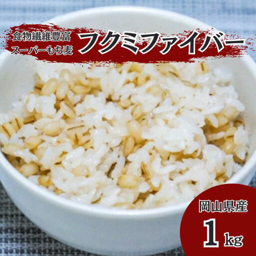 送料無料 岡山県産 フクミファイバー 【1kg】 スーパーもち麦 令和6年産 白米 玄米 のかわりに 送料無料 岡山県産 フクミファイバー 【1kg】 スーパーもち麦 令和6年産 白米 玄米 のかわりに