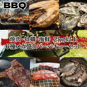 夏のバーベキューメガ盛り6種セットA 焼肉 海鮮 牡蠣 牛タン ハラミ 豪華