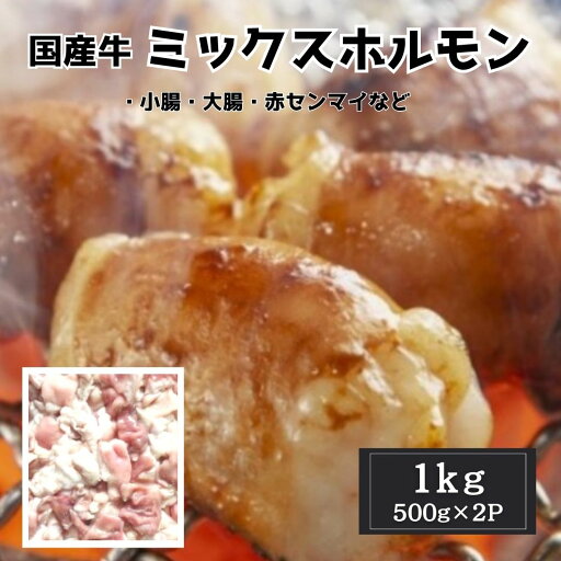 国産牛 ミックスホルモン 1kg(500g×2)冷凍 焼肉 BBQ もつ鍋 国産牛 ミックスホルモン 1kg(500g×2)冷凍 焼肉 BBQ もつ鍋