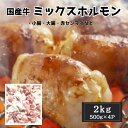 国産牛 ミックスホルモン 2kg(500g×4)冷凍 焼肉 BBQ もつ鍋