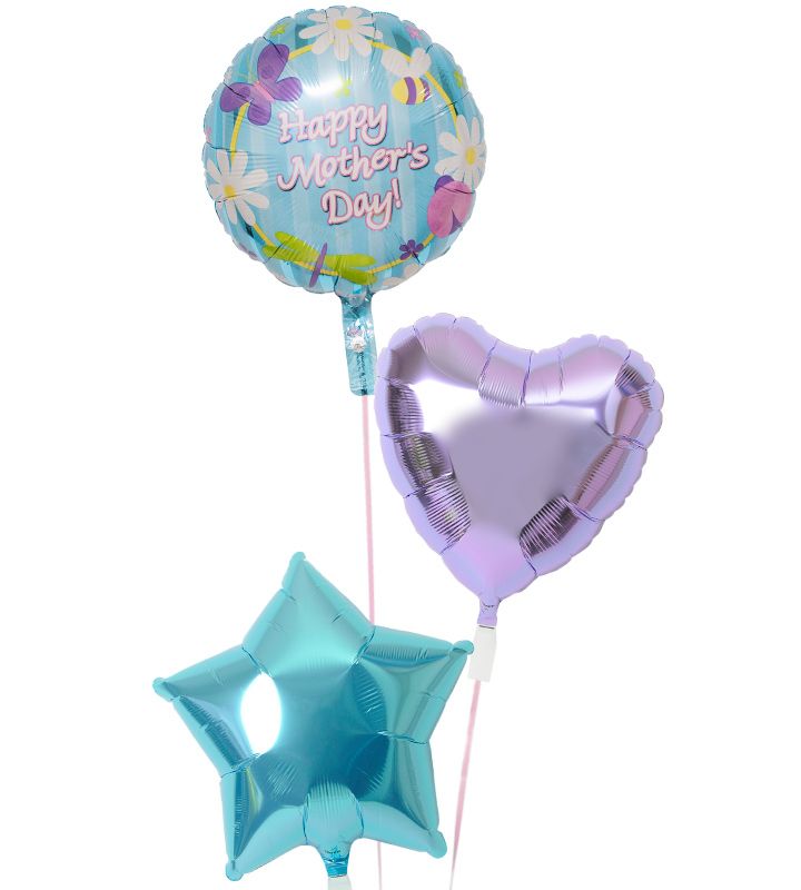 【あす楽/土日祝発送/即日】母の日 バルーン ギフト 電報 カーネーション 花 おしゃれ プレゼント 感謝 贈り物 サプライズ 即日 g-mtr-0063 ヘリ...