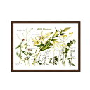 絵画 お花 flower ワイルドフラワー 木製ブラウン 橋本不二子 ポスター 額入りインテリア 壁 おしゃれ 壁掛け リビング 寝室 新築祝い 開業祝い 開店祝い プレゼント