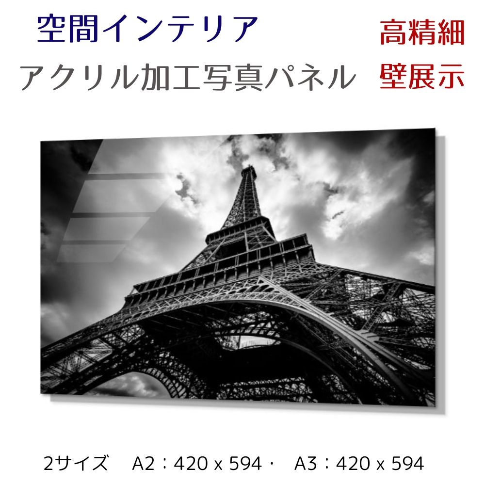 写真パネル 壁インテリア ウォールアート/ パリ エッフェル塔/Sky over the Eiffel Tower/モノトーン 白黒 絵画 ポスター 額入り イ...