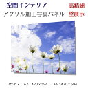 写真パネル 壁インテリア ウォールアート/ コスモスの花と空/Cosmos flowers and sky/ 絵画 ポスター 額入り インテリア 壁 おしゃれ ...