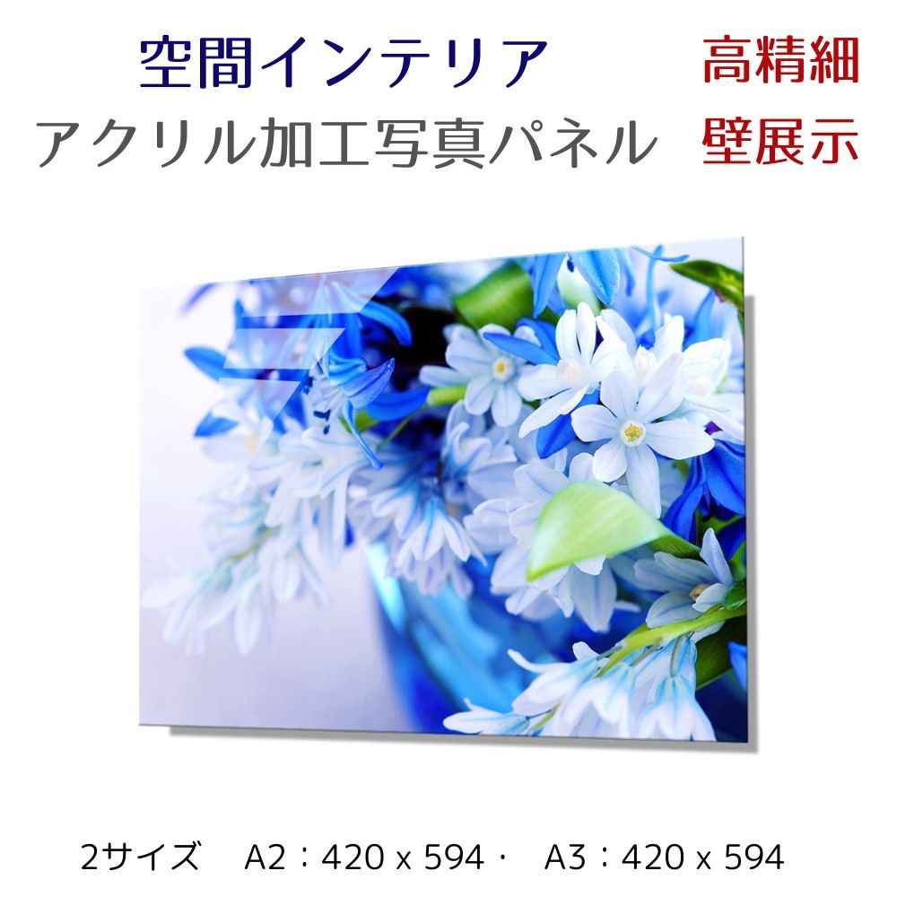 写真パネル 壁インテリア ウォールアート/ 青いアイリスの花束/Bouquet of blue irises/ 絵画 ポスター 額入り インテリア 壁 おしゃれ...