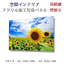 写真パネル 壁インテリア ウォールアート/ 満開のひまわり/ Sunflower 絵画 ポスター 額入り インテリア 壁 おしゃれ 壁掛け リビング 寝室 ホテル タワマン ホール 施設 新築祝い 開業祝い 開店祝い プレゼント玄関 部屋に飾る 植物 花 ギフト アートパネル