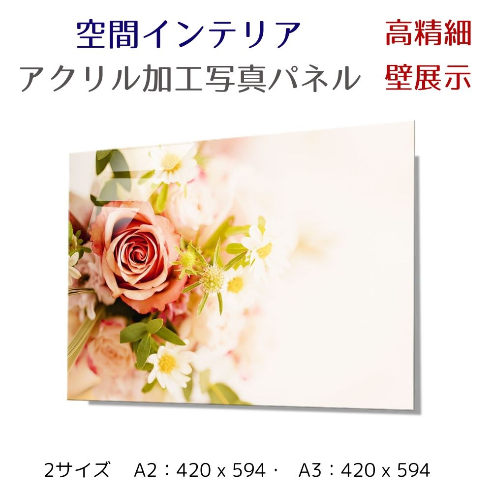 生産国日本テーマ（絵画）花 薔薇 バラ ピンクのバラ ばら Pink flower rose■商品名写真パネル 壁インテリア ウォールアート ＜　ピンクのバラ　＞Pink flower rose　 ※1枚目、2枚目画像■商品説明A2サイズ：420 x 594mm A3サイズ：297 x 420mm 美しい写真の魅力を最大限に引き出すアクリル加工。 高精細の写真素材にアクリル圧着を施し、元の写真の 美しさをより際立たせる加工方法です。 ヒモ付きのためそのまま壁に飾れます。 商品画像はイメージです。 撮影時アクリルへの写り込みもありますため、 参考としてお考えください。■用途ホテル タワマン リビング 寝室 ホール 施設 新築祝い 開業祝い 開店祝い プレゼント ギフト■納期について受注生産商品のため発送までに11営業日前後 お時間を頂戴いたします。 尚、ご注文後手配を致しますので、 欠品等が発生した場合は、ご案内させて頂きます。 また、手配後のキャンセルには対応ができませんので 予めご了承ください。写真パネル　ウォールインテリア　アクリルフォト作品パネルサイズは　2種類 パネルサイズ　A2：420 x 594mm パネルサイズ　A3：297×420mm パネルイメージ 花／夏／風景／夜景／建物／モノトーン高精細アクリルパネル　展示イメージ他の写真パネルはこちら↓ ↑↑↑　他、写真パネルはこちらをご覧ください　↑↑↑