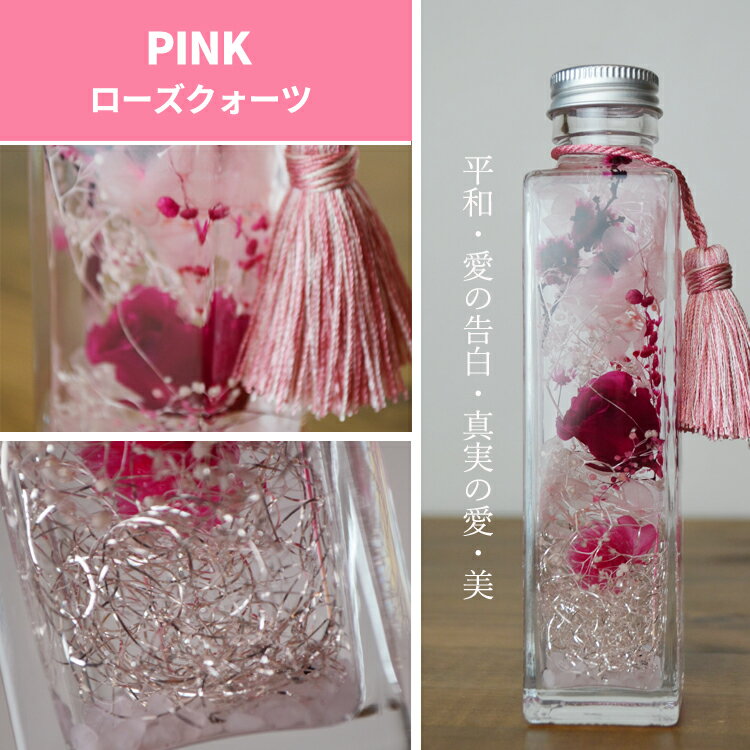 �٤�Ƥ����� ����� �ץ쥼��� ����� ������ �ϡ��Хꥦ�� �ѥ���ȡ��� ���ե� ���᥸���� ���ȥ�� �������������� ��å������������� Herbarium ��ǰ�� £��ʪ �ץ쥼��� ����ƥꥢ ����ƥꥢ ��ǰ�����ե�