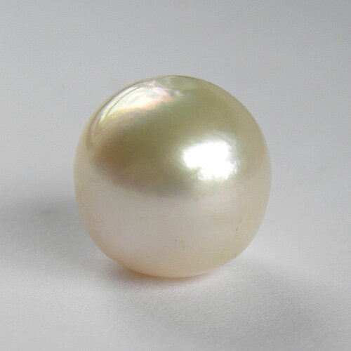 パール ルース 真珠 約13mm 片穴 クリーム色系 一個 1粒 手芸材料 素材 南洋 白蝶 大粒 天然石【中古】【ネコポス配送】 パール ルース 真珠 約13mm 片穴 クリーム色系 一個 1粒 手芸材料 素材 南洋 白蝶 大粒 天然石【中古】【ネコポス配送】