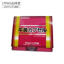 【第3類医薬品】「牛黄カプセル」 (ゴオウカプセル)100mg×2cp ウチダ和漢薬