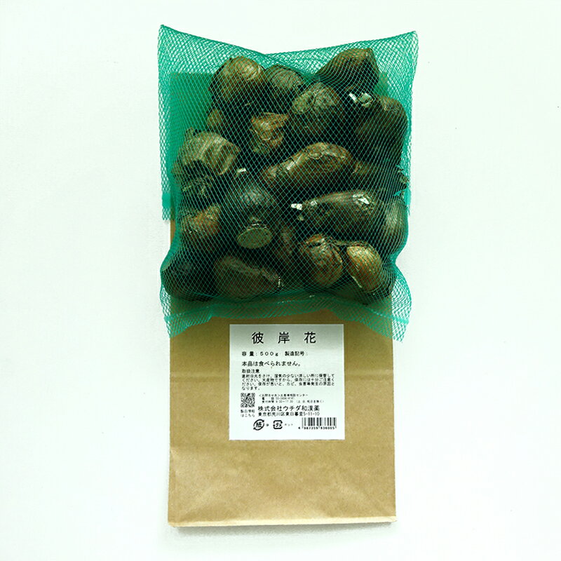 彼岸花(ひがんばな)(食用不可) 500g ウチダ和漢薬 ヒガンバナ
