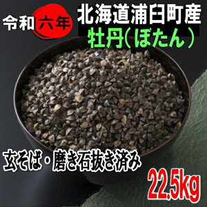 令和6年産!!北海道浦臼町産牡丹そば・玄そば・磨き石抜き済み【22.5kg】※送料無料ではありません