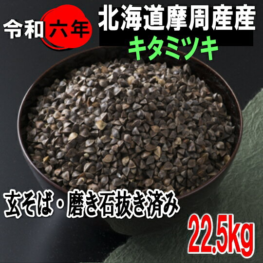 令和6年産!!北海道産キタミツキ・玄そば・磨き石抜き済み【22.5kg】※送料無料ではありません