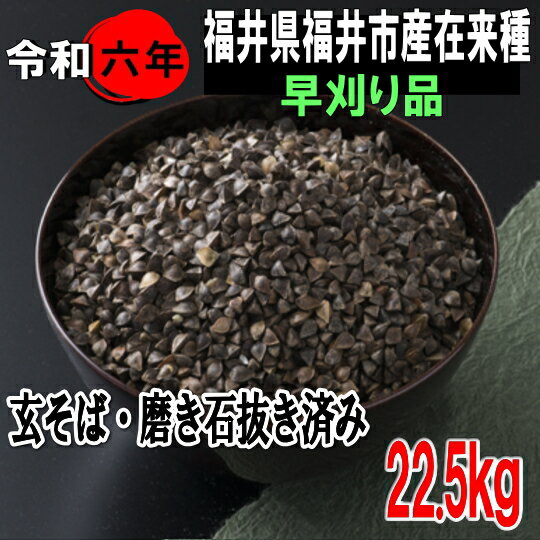 令和6年産!!福井県産・在来種(早刈り)玄そば磨き石抜き済み1等品【22.5kg】※送料無料ではありません