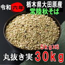 令和6年産!!栃木県大田原産・常陸秋そば・丸抜き(そばの実)【30kg】5kg×6※送料無料ではありません