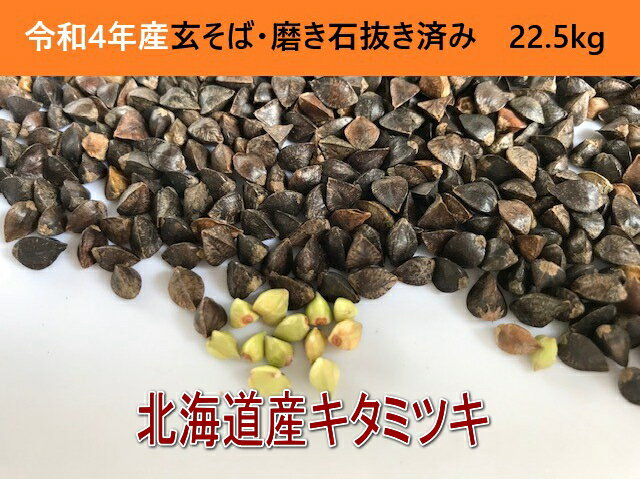 令和5年産!!北海道産キタミツキ・玄そば・磨き石抜き済み【22.5kg】 送料無料ではありません