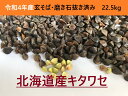 令和5年産新そば!!北海道産キタワセ・玄そば・磨き石抜き済み【22.5kg】※送料無料ではありません