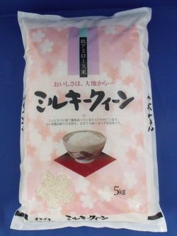 送料無料!!令和4年産!!橋本さんのぼかし肥料で作ったミルキークイーン【玄米10kg】5kg×2※北海道・九州・四国・沖縄・離島は別途送料掛かります