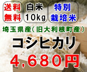 送料無料!!27年産!!旧大利根産特別栽培米コシヒカリ白米10kg【5kg×2】※北海道・九州・四国・沖縄・離島は別途送料掛かります