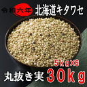 令和6年産新そば!!北海道産キタワセそば・丸抜き実【30kg】5kg×6※送料無料ではありません
