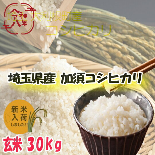 楽天市場】埼玉県 コシヒカリ（米・雑穀｜食品）の通販