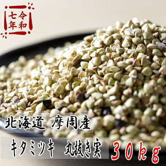 ����7ǯ��!!���������������ߥĥ�����ȴ����30kg��5kg��6������̵���ǤϤ���ޤ���