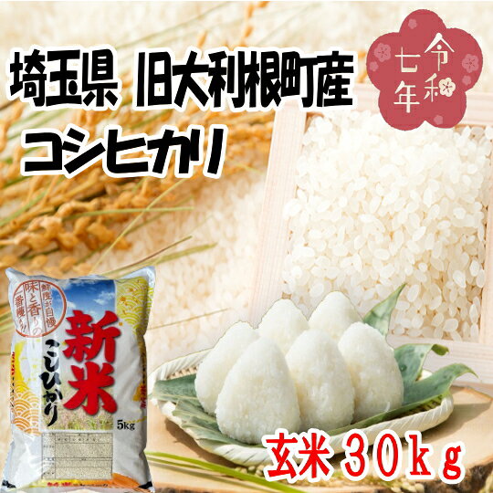 楽天市場】玄米 30kg 埼玉県の通販