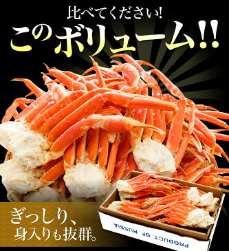 【緊急企画★クーポン利用で2,300円OFF】【送料無料】訳あり