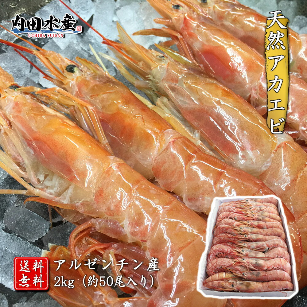 【送料無料】”特大アカエビ2kg” 約50尾入り 赤海老 赤エビ 赤えび えび エビ 訳あり 業務用 飲食店 刺身 塩焼き BBQ 市場 ギフト