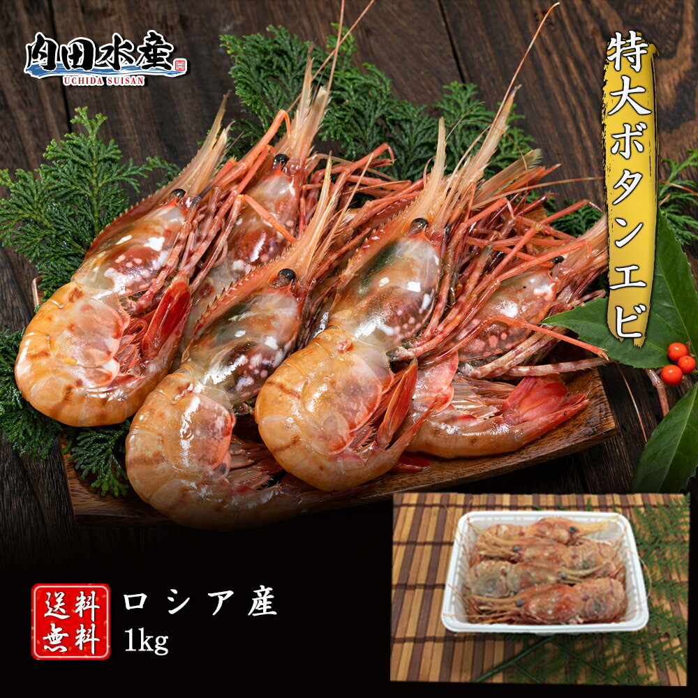 【送料無料】”特大ボタンエビ1kg”