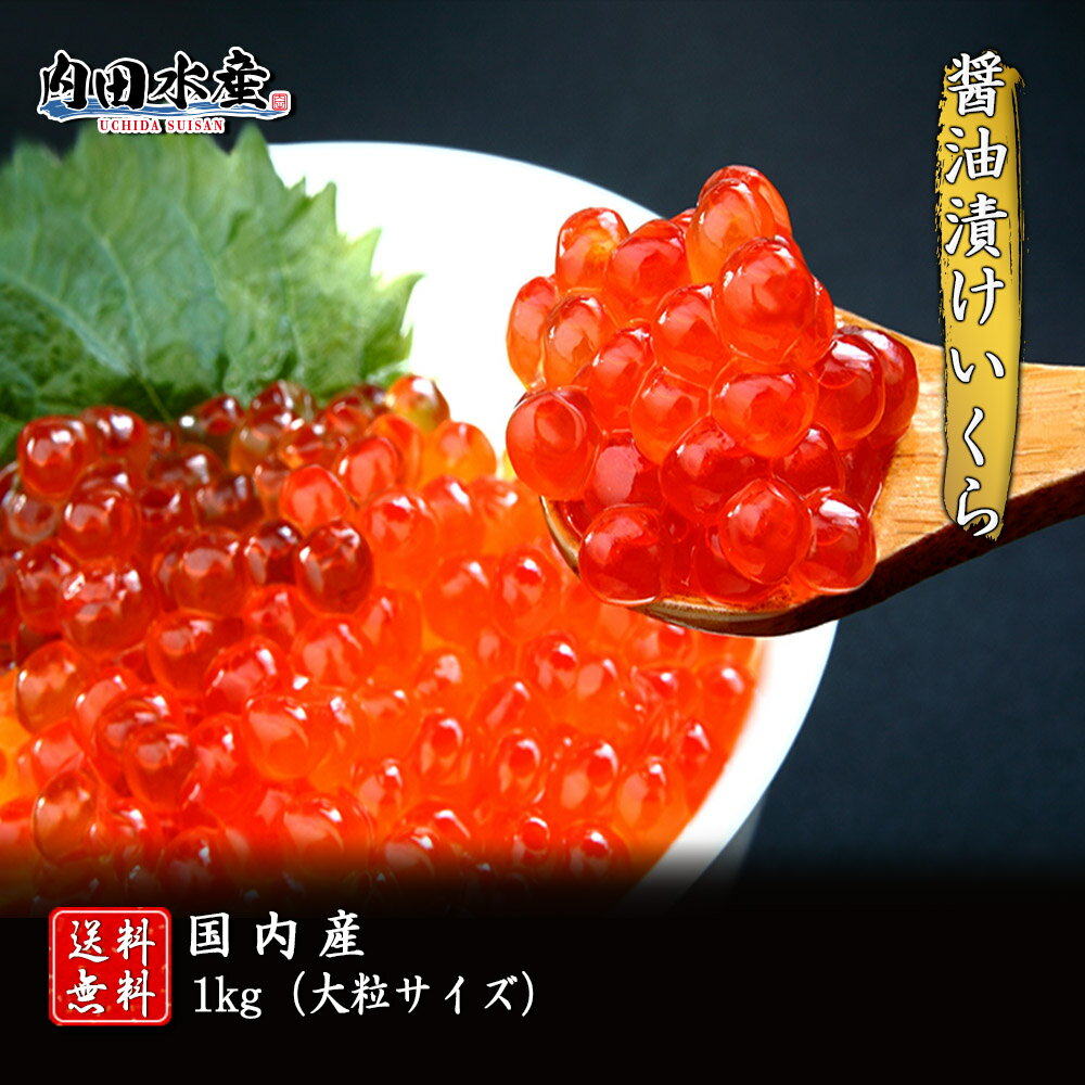 醤油イクラ 【送料無料】”激うま醤油漬イクラ1kg” 1パック1kg 冷凍便 いくら イクラ 鮭 さけ サケ 海鮮丼 寿司 パスタ 食品 ギフト